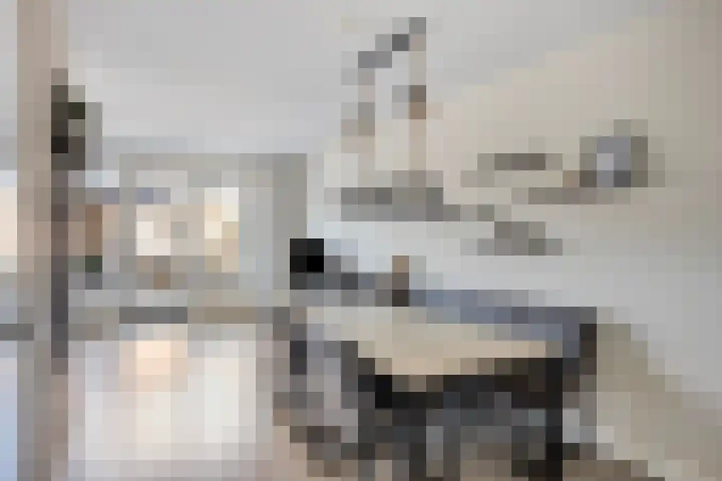 De Nielt 74 Cuijk thumbnail 10