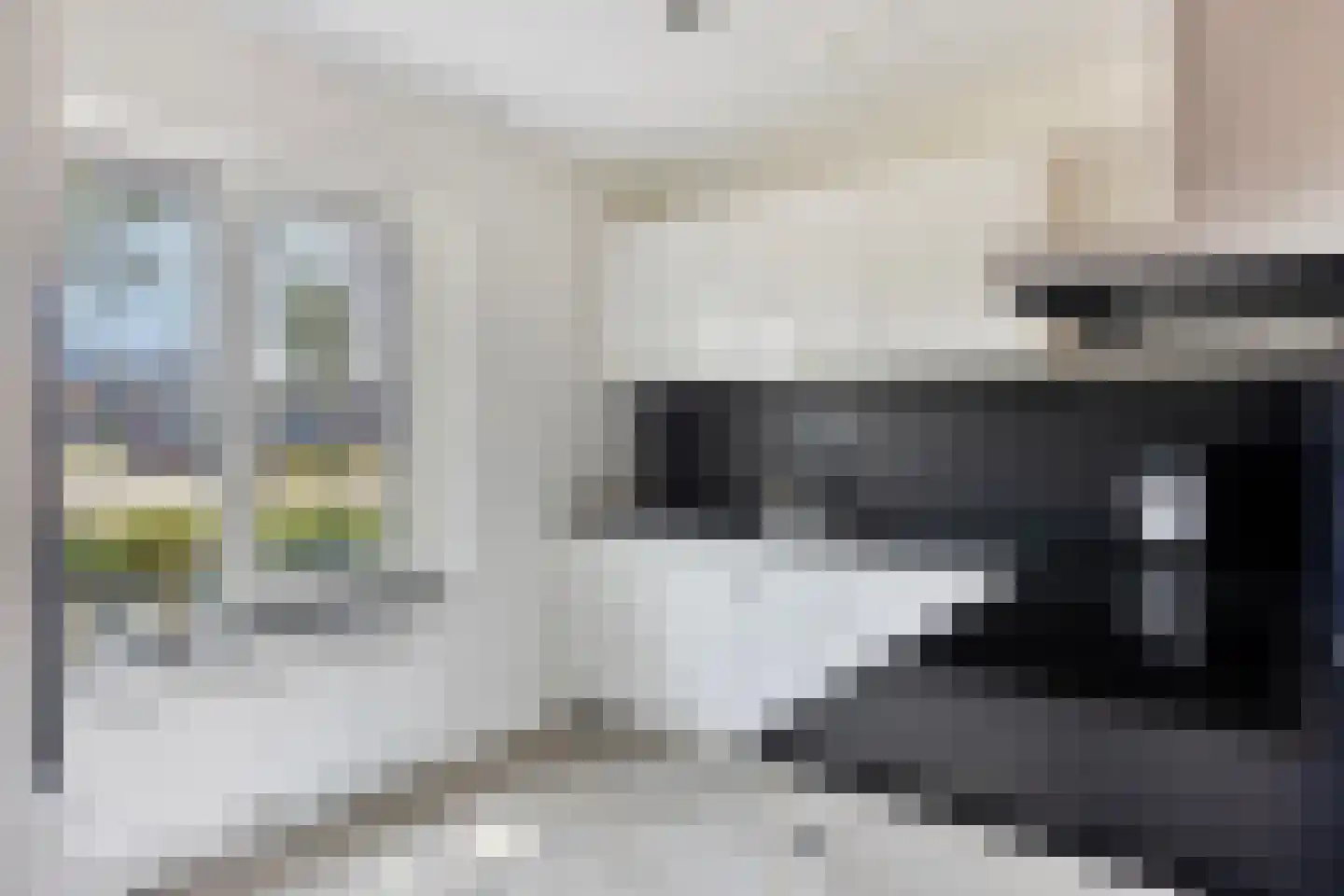 De Nielt 74 Cuijk thumbnail 11