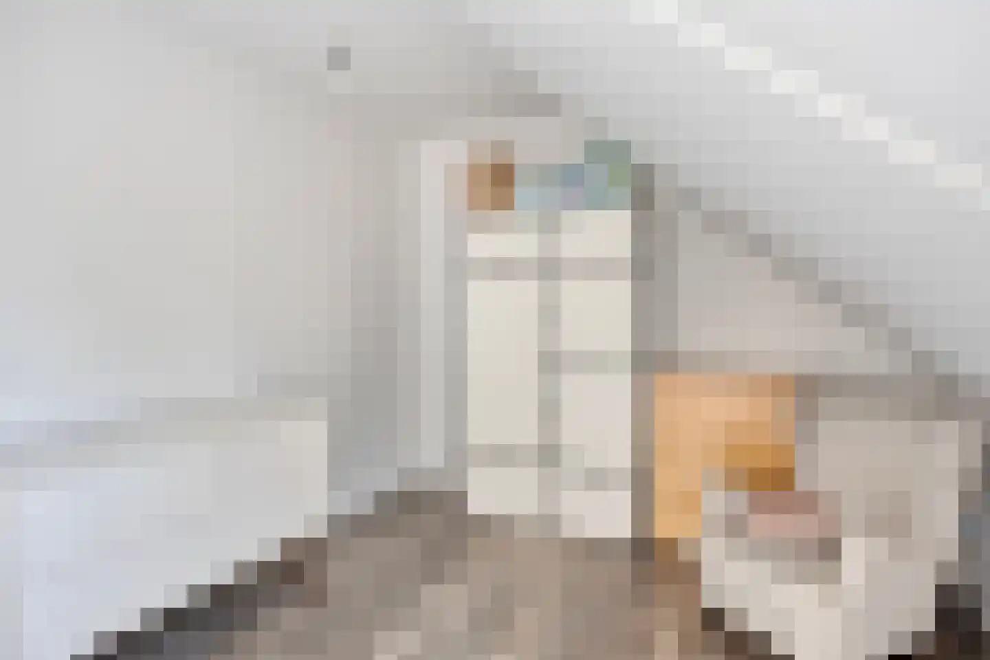 De Nielt 74 Cuijk thumbnail 24