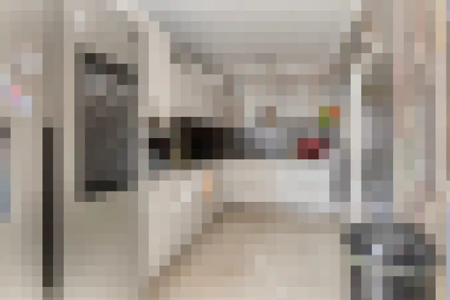 De Niers 2 Veghel thumbnail 12