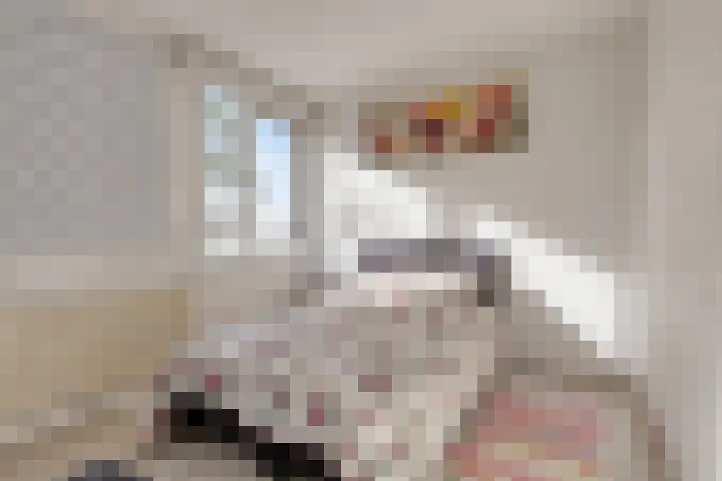 De Niers 2 Veghel thumbnail 17