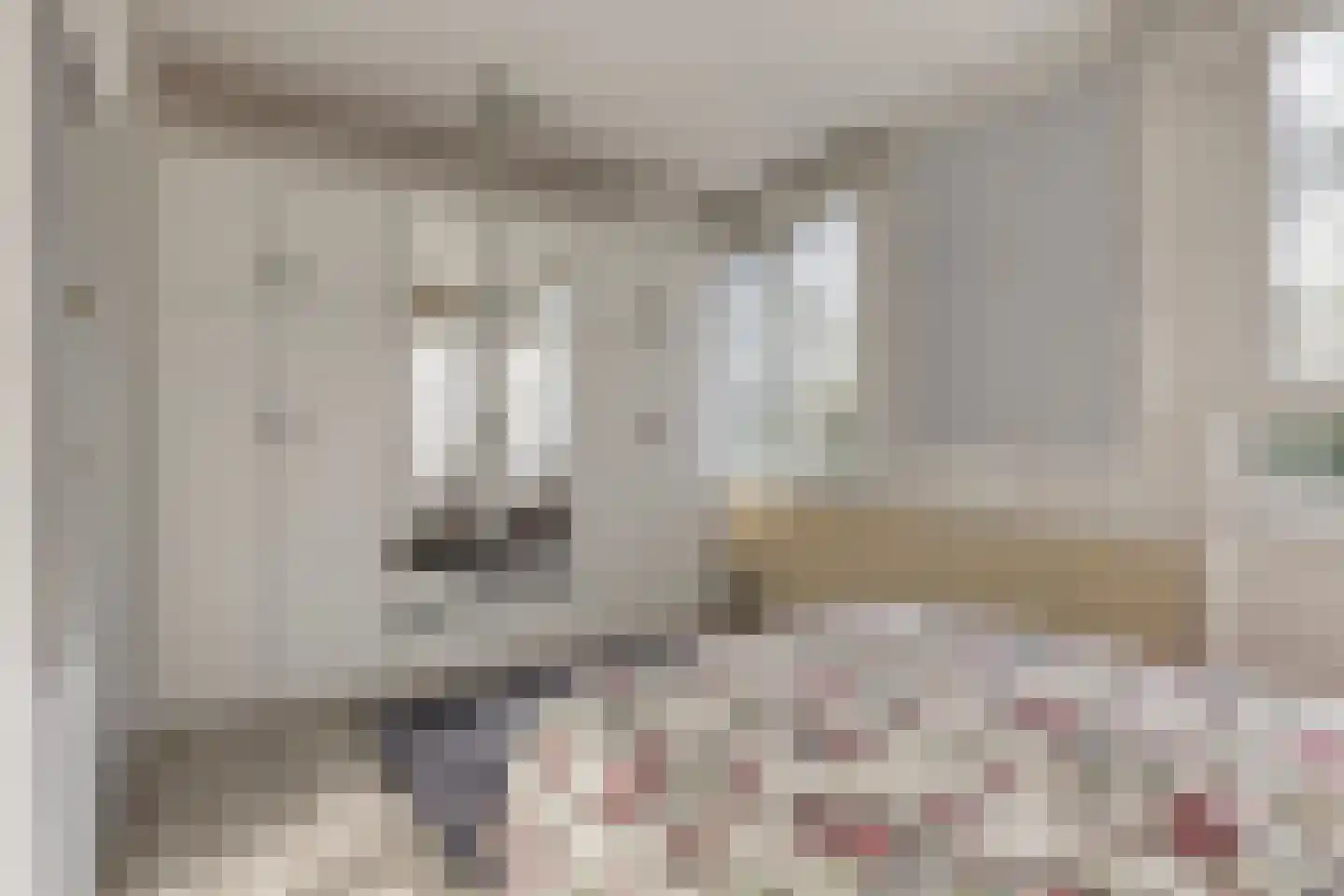 De Niers 2 Veghel thumbnail 18