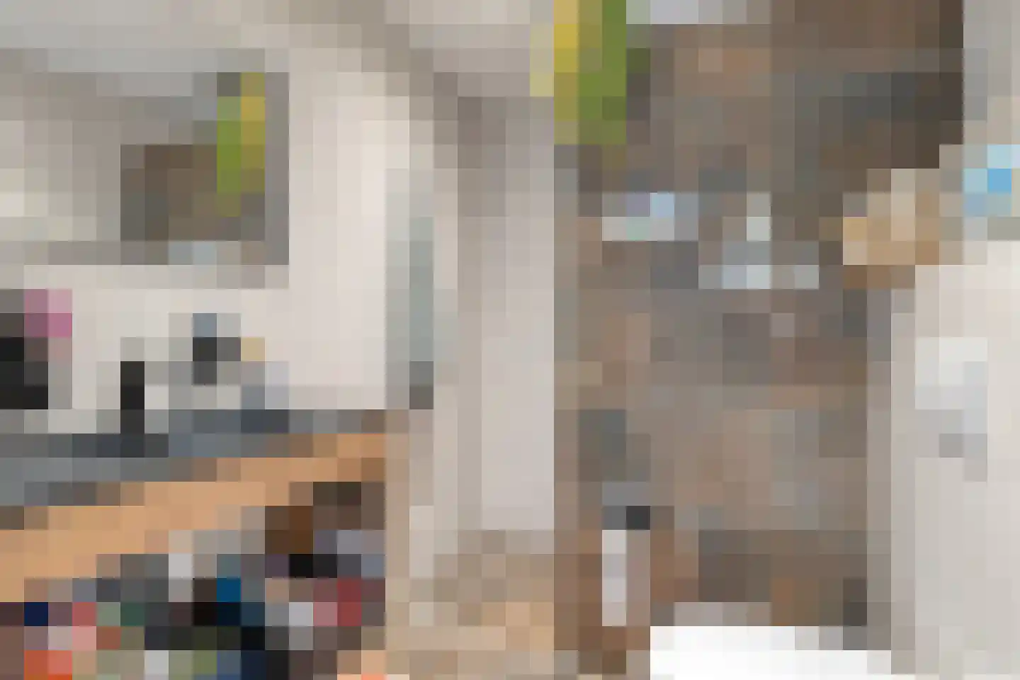 De Niers 2 Veghel thumbnail 19