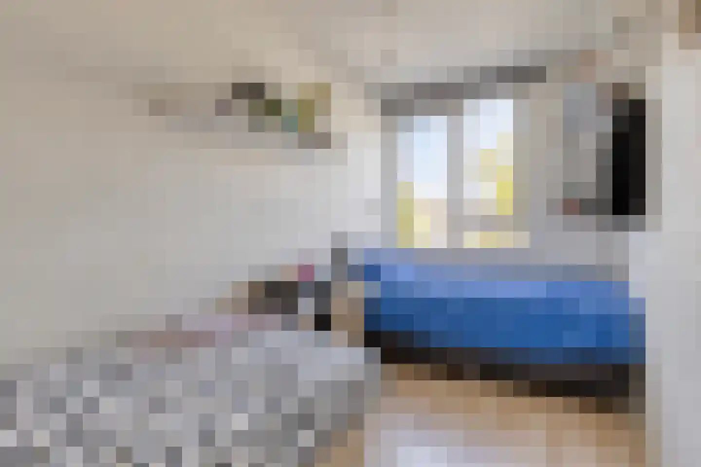 De Niers 2 Veghel thumbnail 21