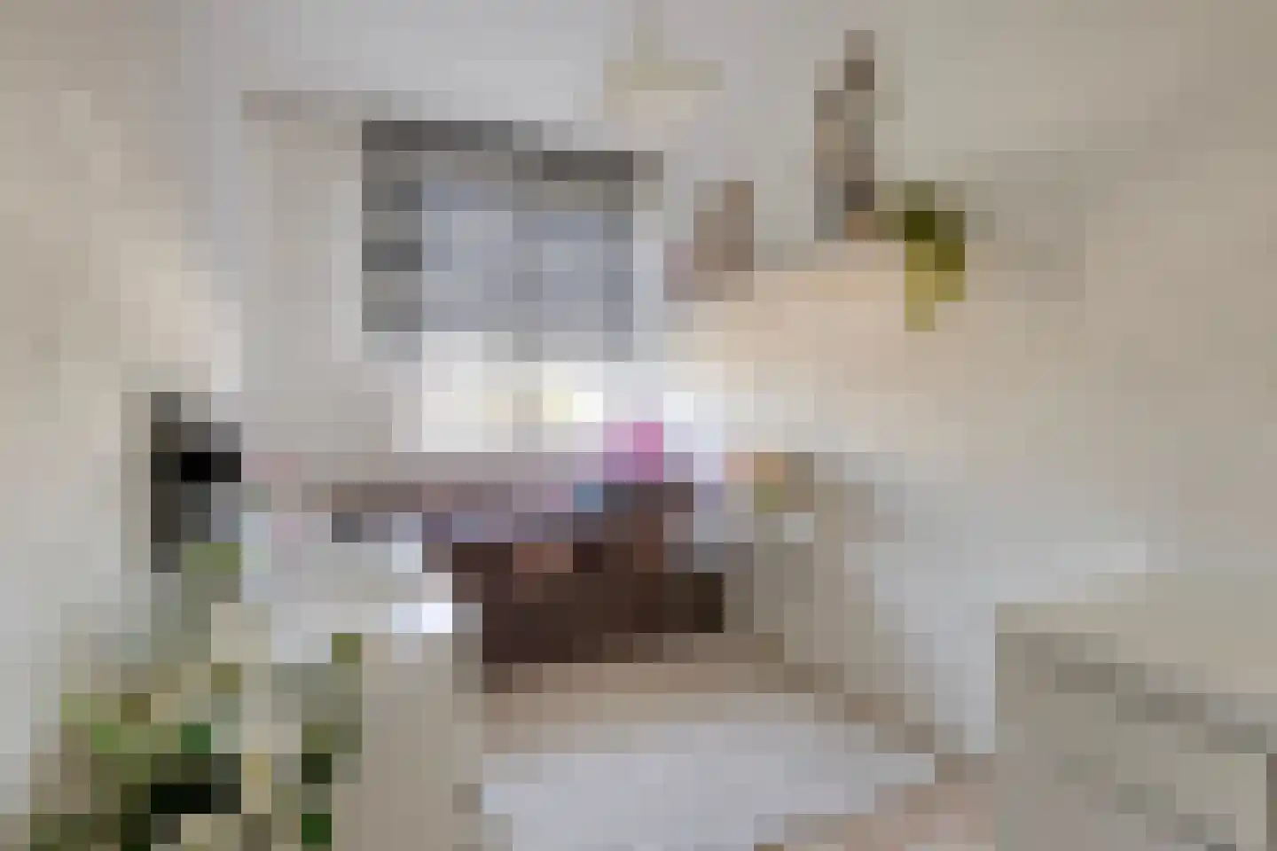 De Niers 2 Veghel thumbnail 23