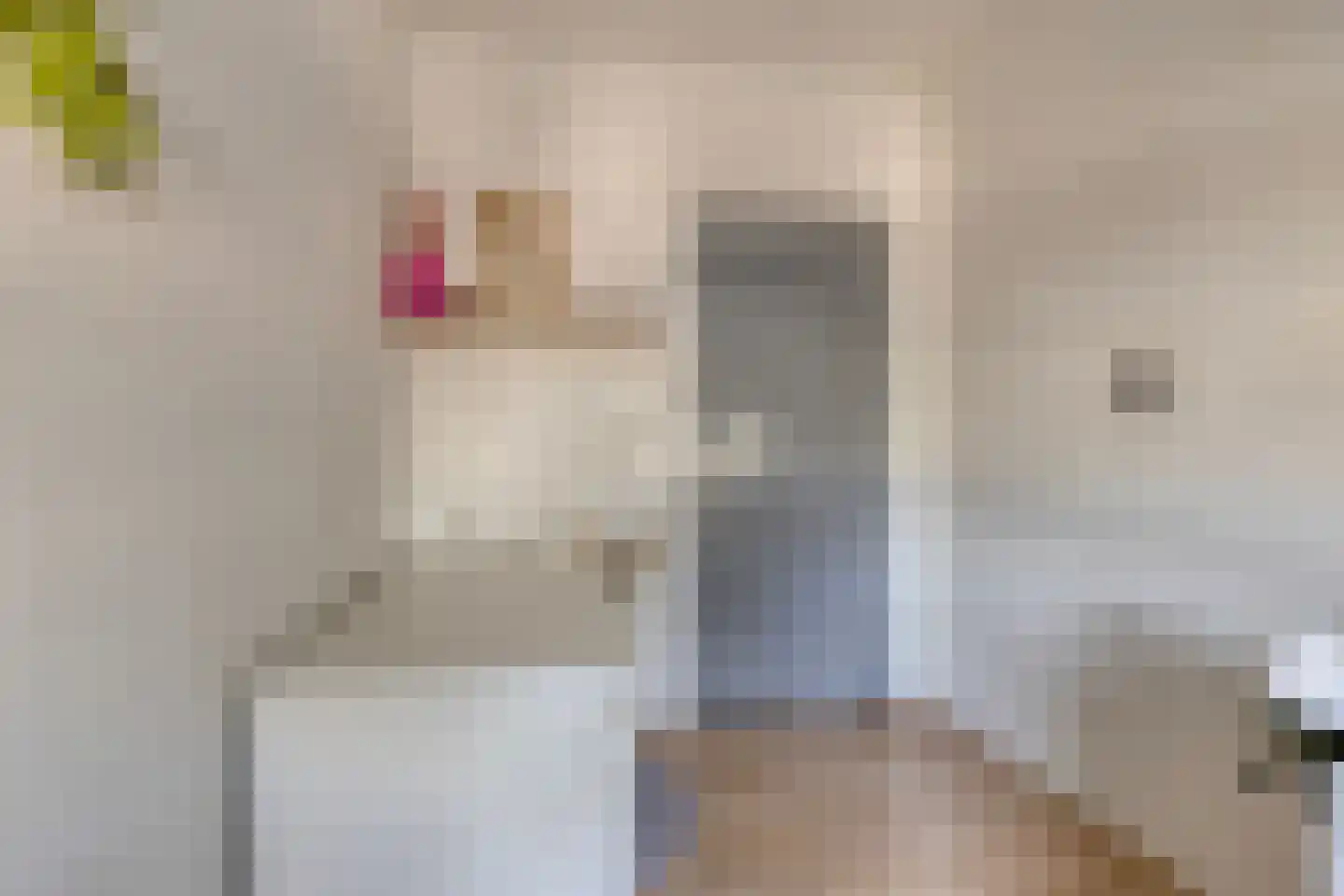 De Niers 2 Veghel thumbnail 24