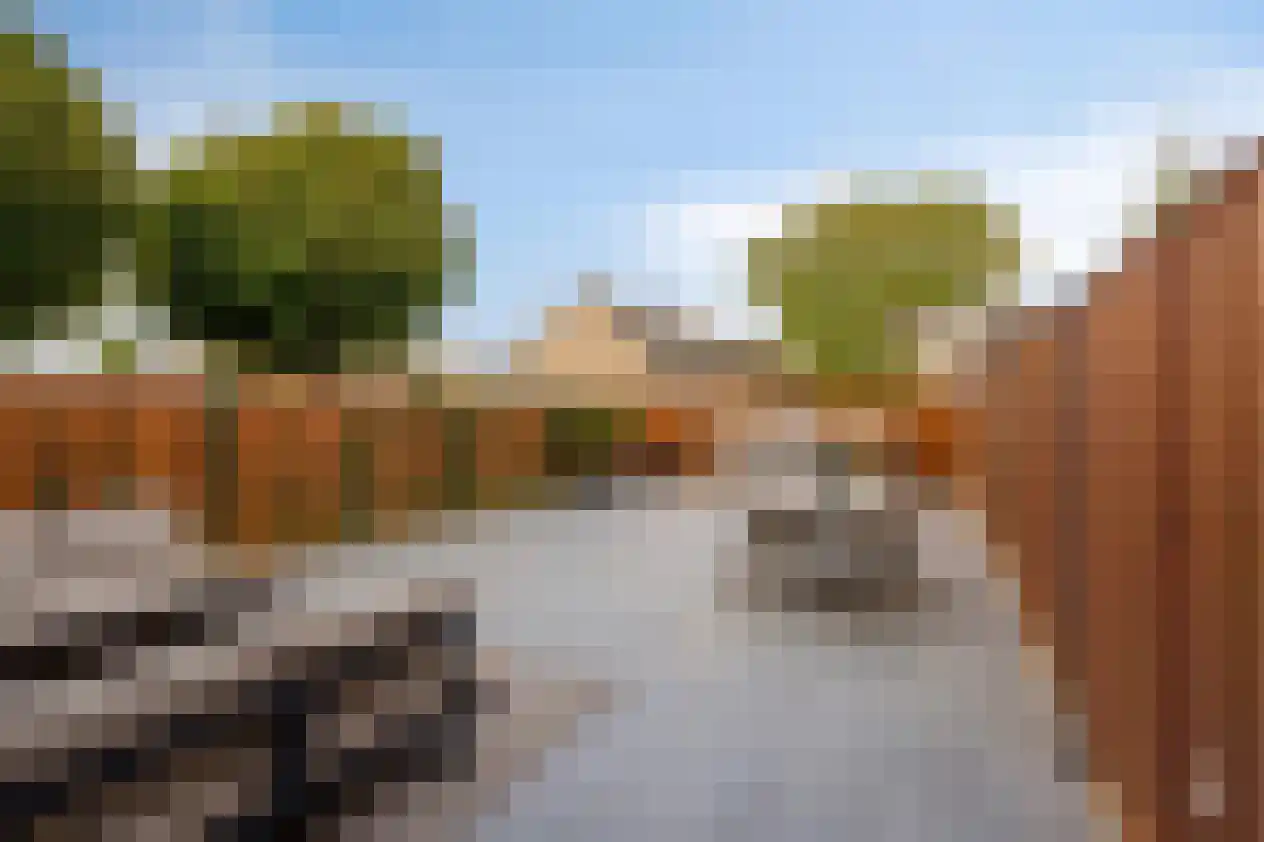 De Niers 2 Veghel thumbnail 26