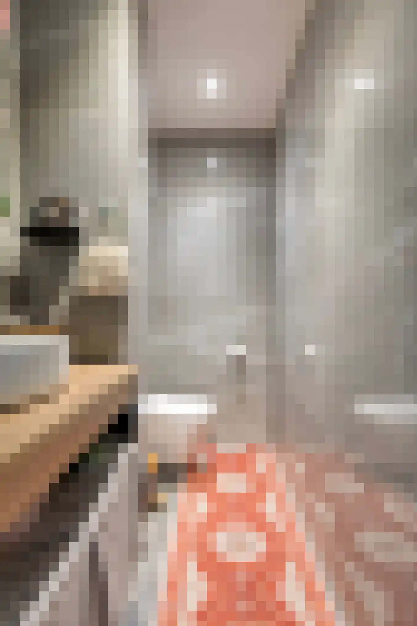 De Niers 2 Veghel thumbnail 7