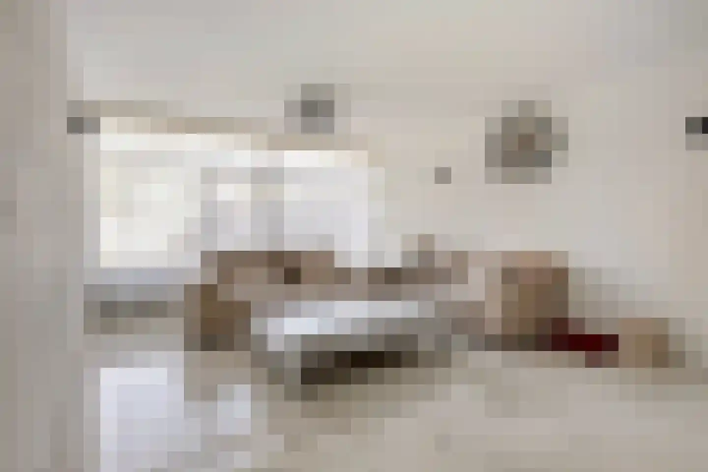 De Niers 2 Veghel thumbnail 8