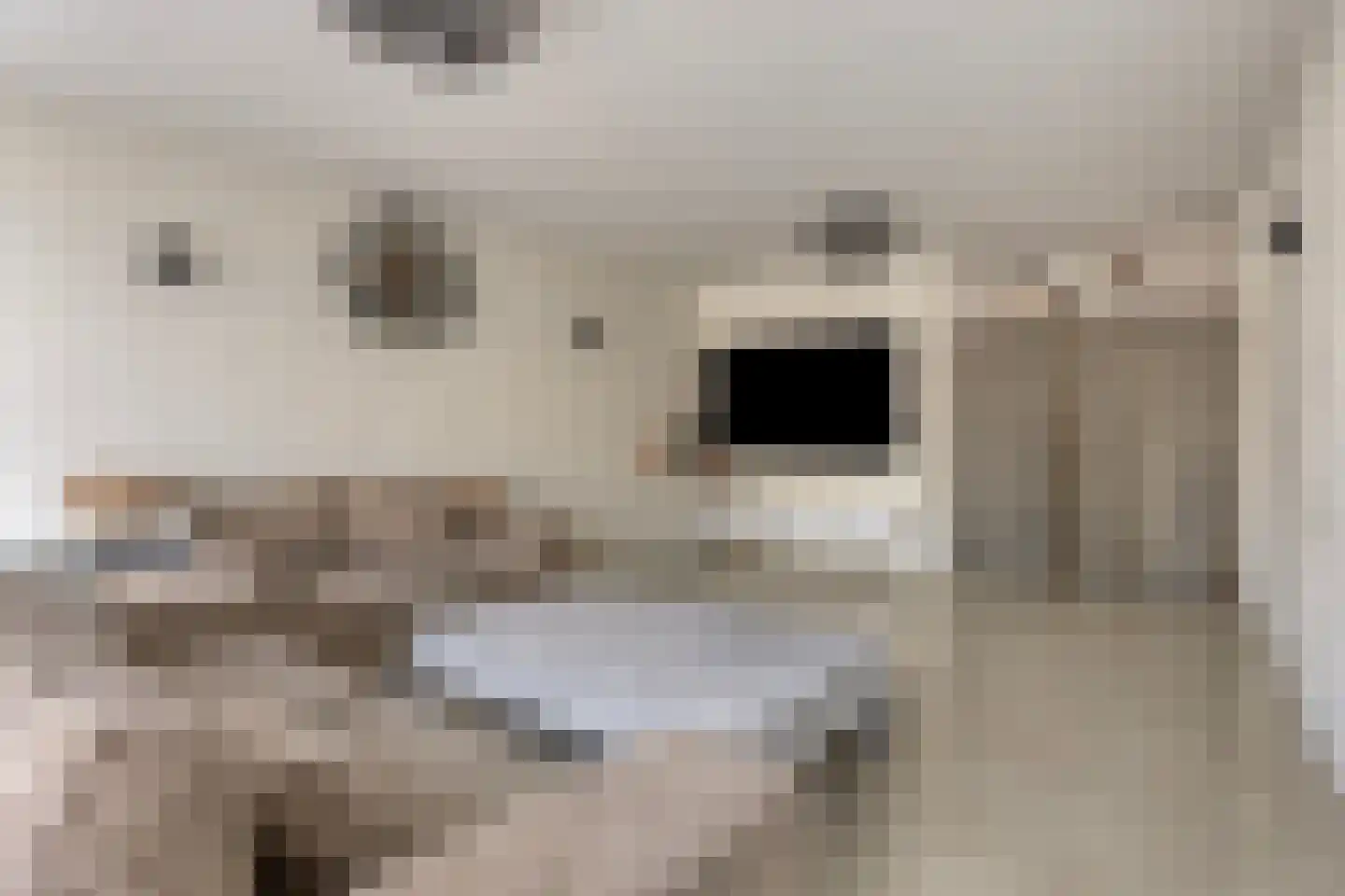 De Niers 2 Veghel thumbnail 9