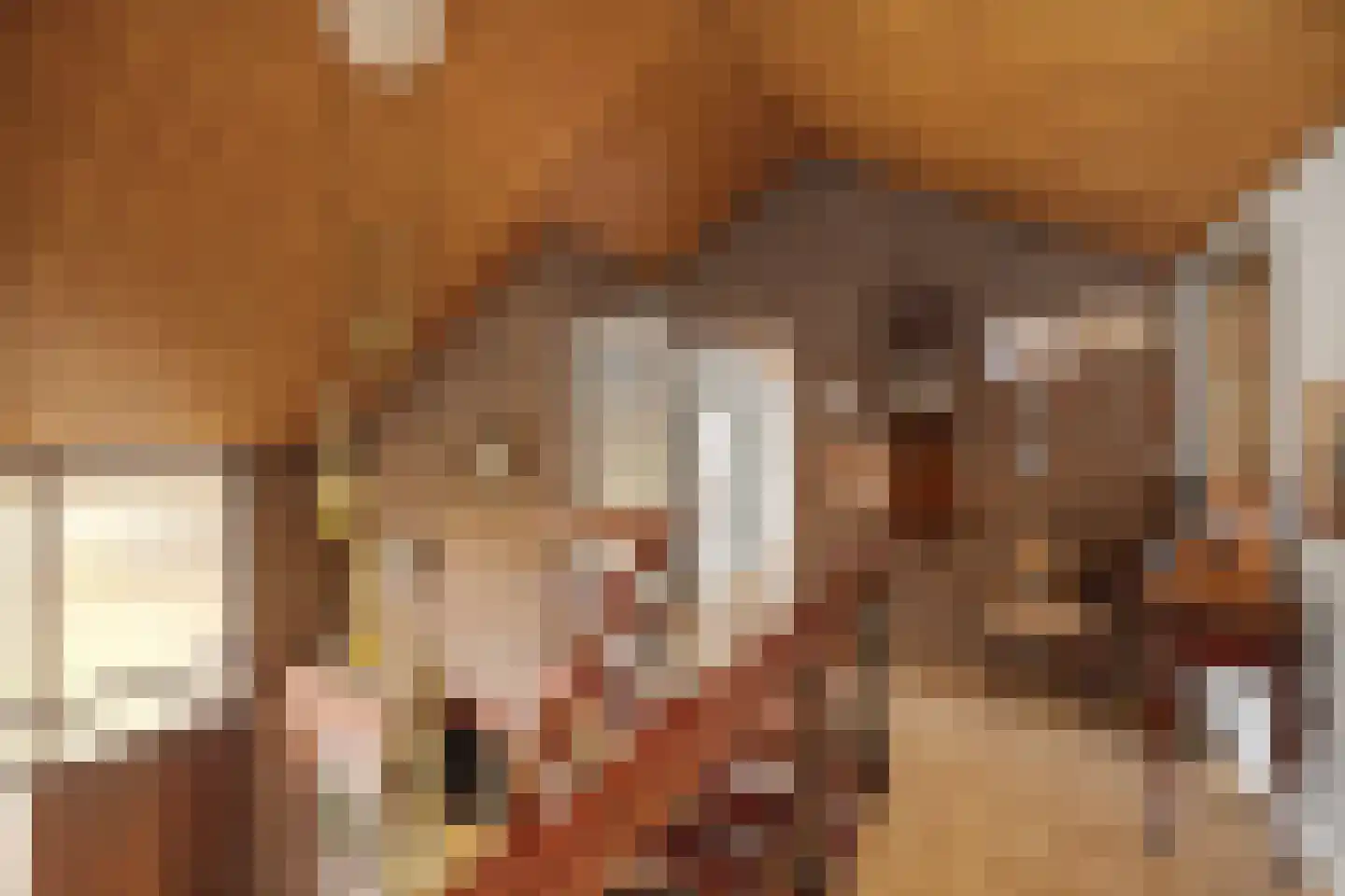 De Nieuwe Aanleg 2 Diepenveen thumbnail 16