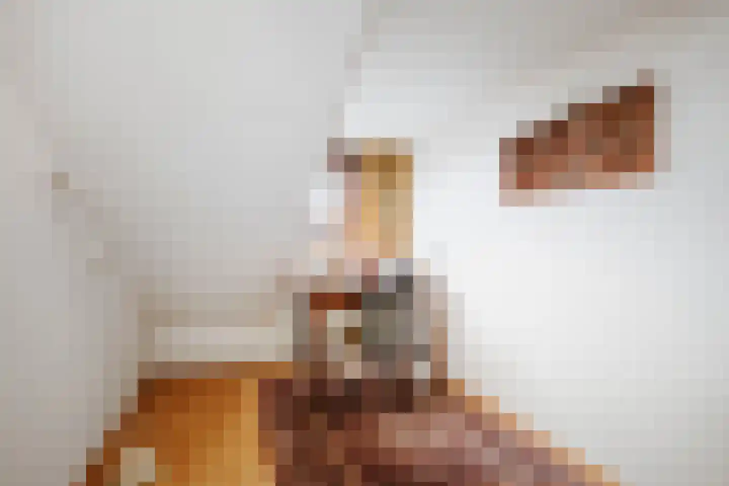 De Nieuwe Aanleg 2 Diepenveen thumbnail 19