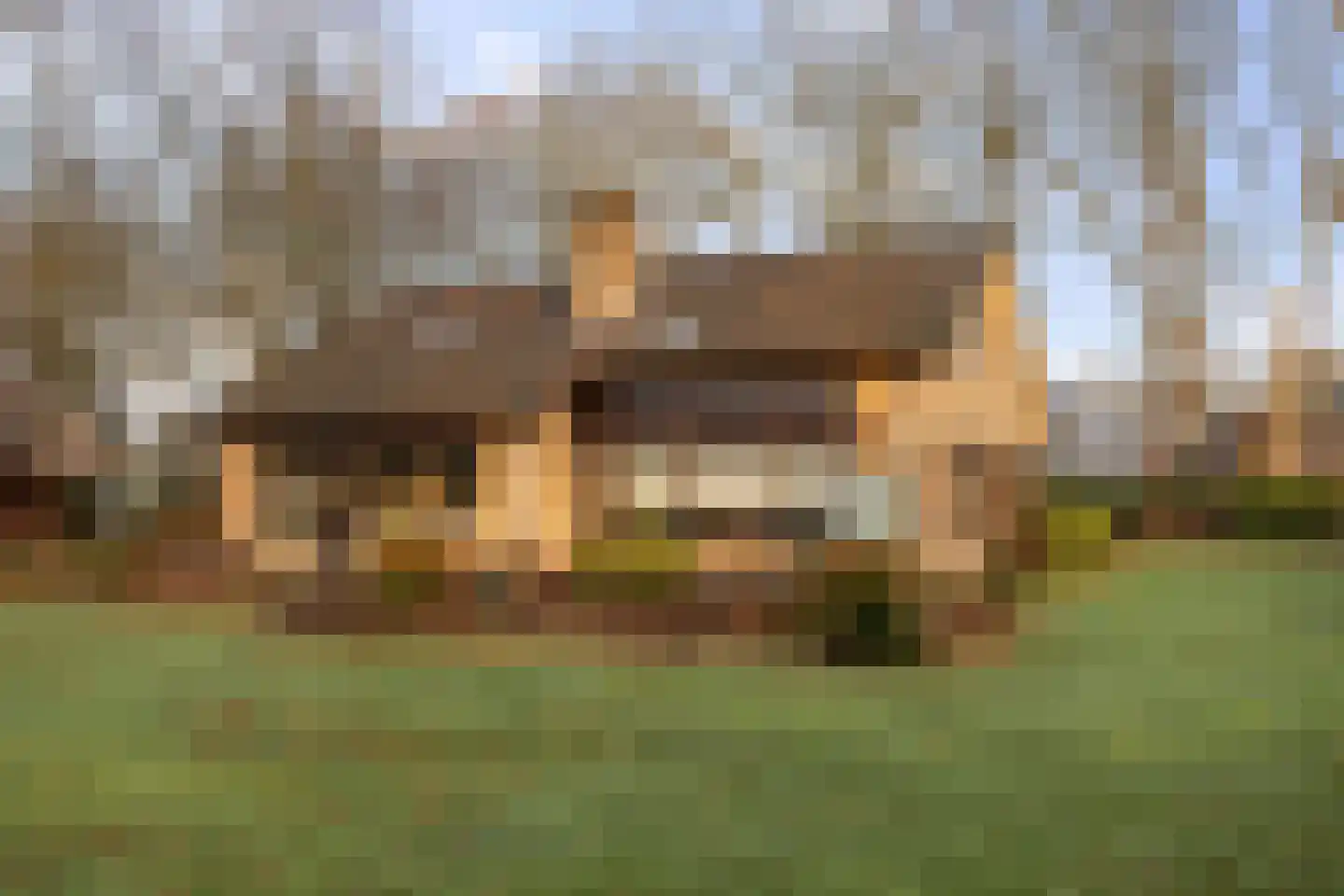 De Nieuwe Aanleg 2 Diepenveen foto 2