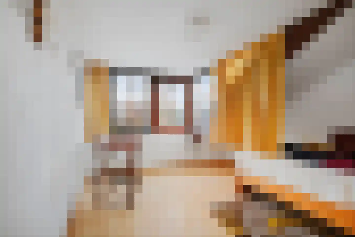 De Nieuwe Aanleg 2 Diepenveen thumbnail 21