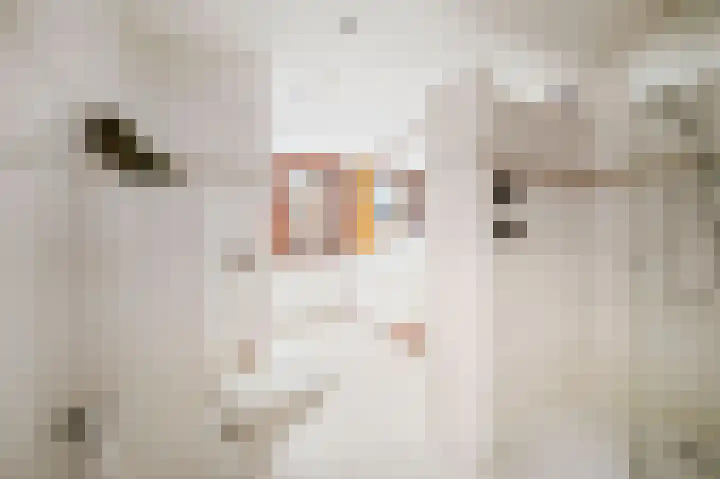 De Nieuwe Aanleg 2 Diepenveen thumbnail 27