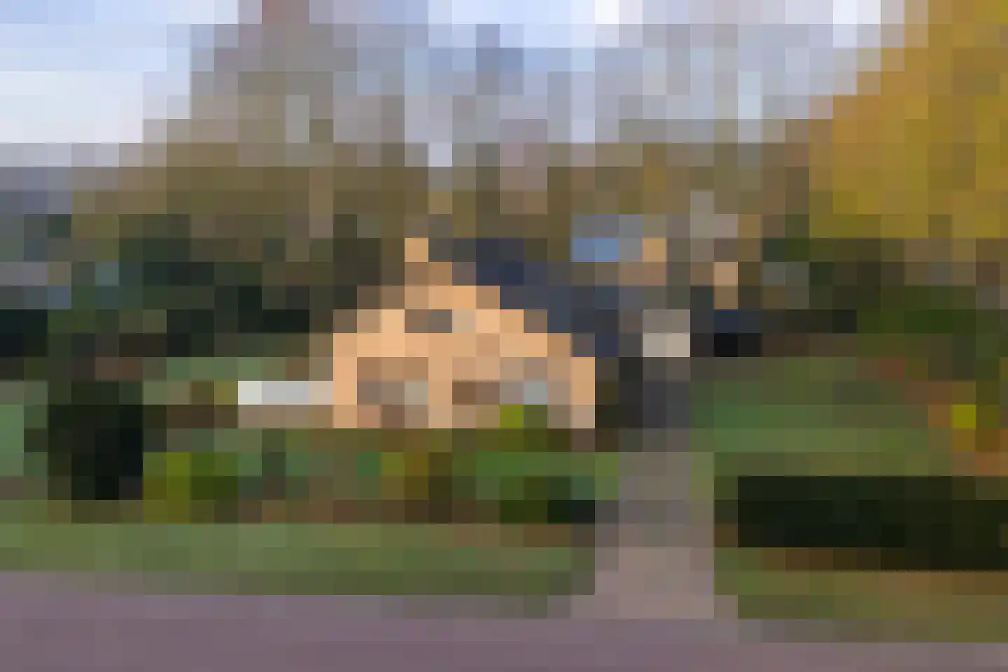 De Nieuwe Aanleg 2 Diepenveen foto 3