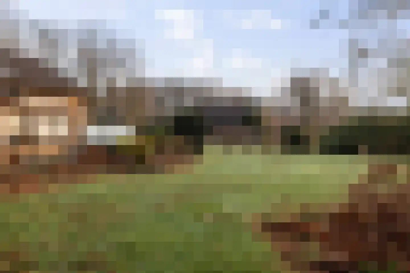 De Nieuwe Aanleg 2 Diepenveen thumbnail 41