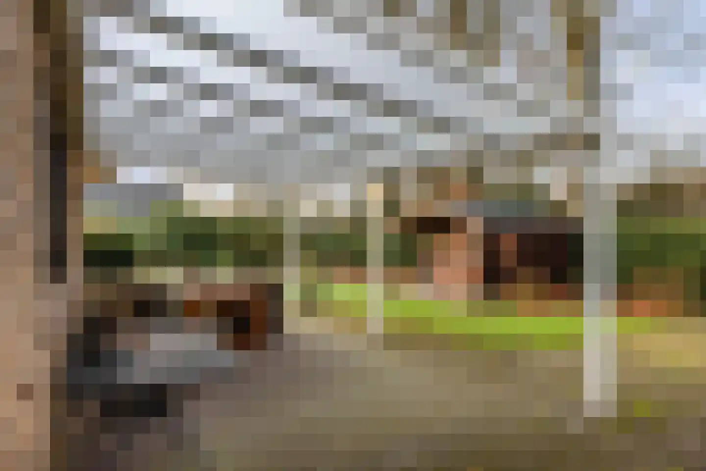 De Nieuwe Aanleg 2 Diepenveen thumbnail 42