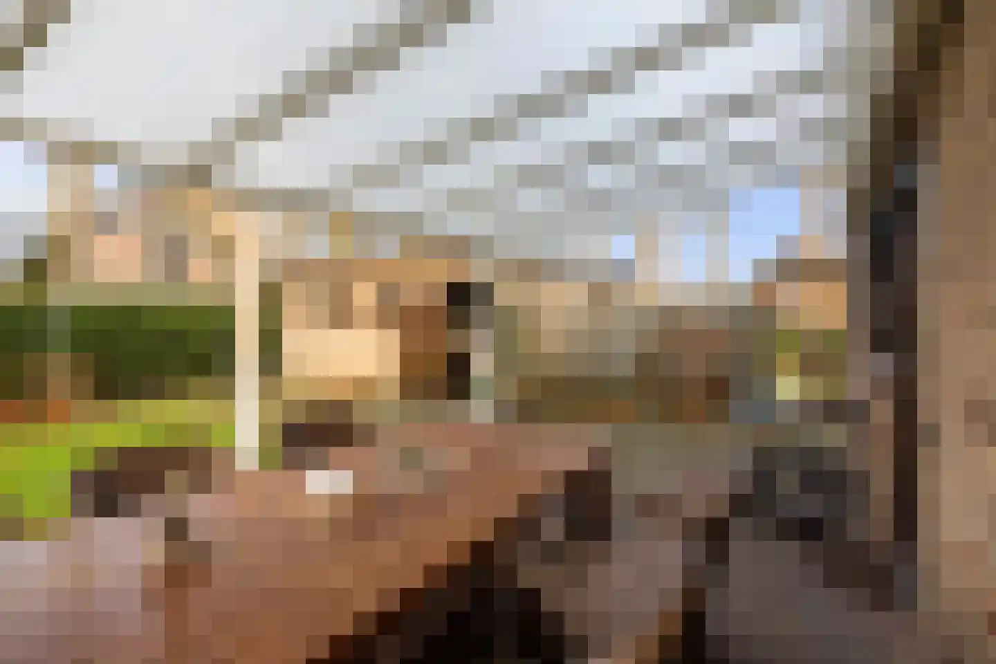 De Nieuwe Aanleg 2 Diepenveen thumbnail 43