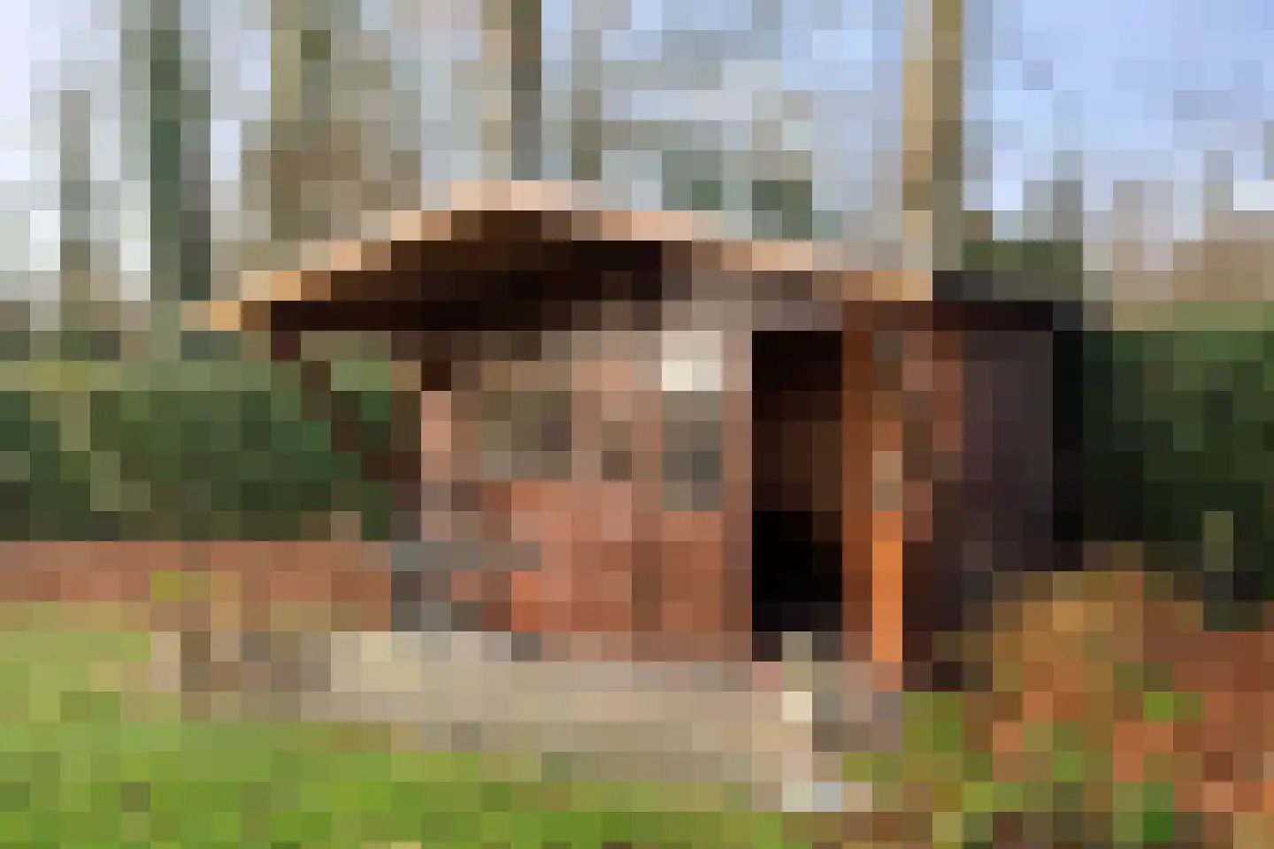 De Nieuwe Aanleg 2 Diepenveen thumbnail 44