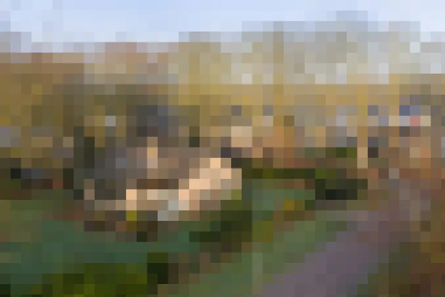 De Nieuwe Aanleg 2 Diepenveen thumbnail 46