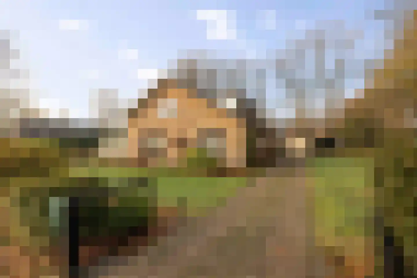 De Nieuwe Aanleg 2 Diepenveen thumbnail 50