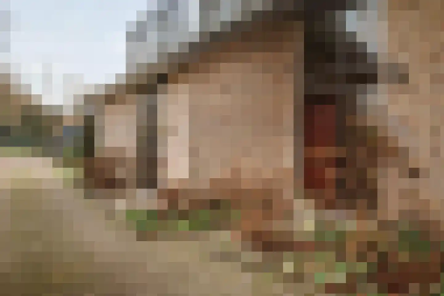 De Nieuwe Aanleg 2 Diepenveen thumbnail 53