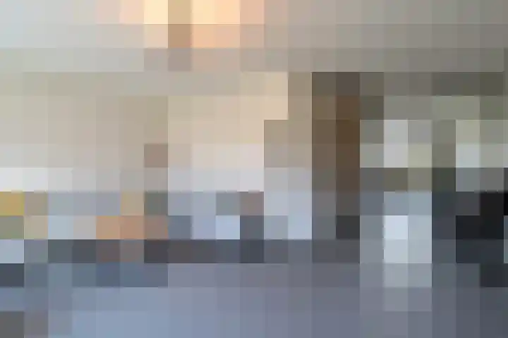 De Nieuwe Gast 5 Zuidhorn thumbnail 12