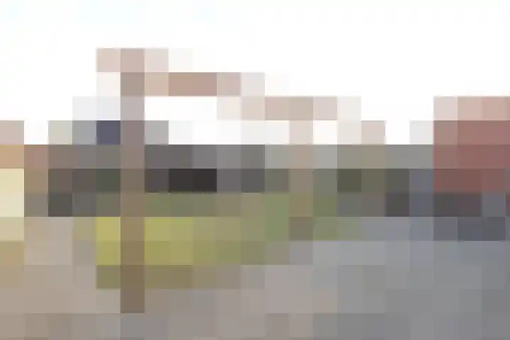 De Nieuwe Gast 5 Zuidhorn thumbnail 16