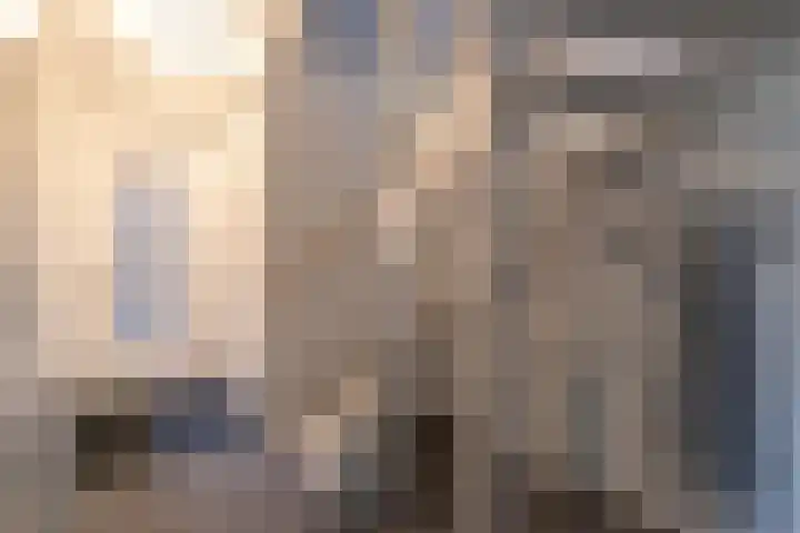 De Nieuwe Gast 5 Zuidhorn thumbnail 26