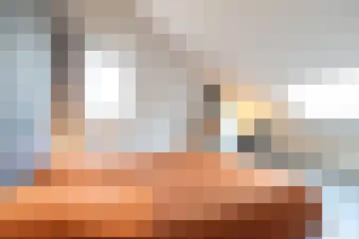 De Nieuwe Gast 5 Zuidhorn thumbnail 38