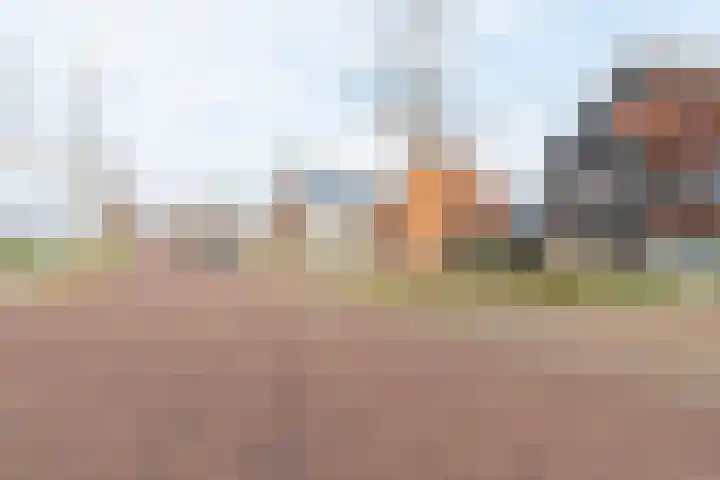 De Nieuwe Gast 5 Zuidhorn thumbnail 4
