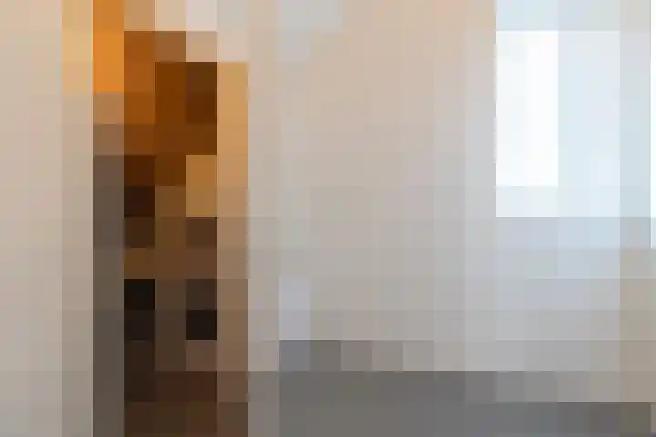 De Nieuwe Gast 5 Zuidhorn thumbnail 40