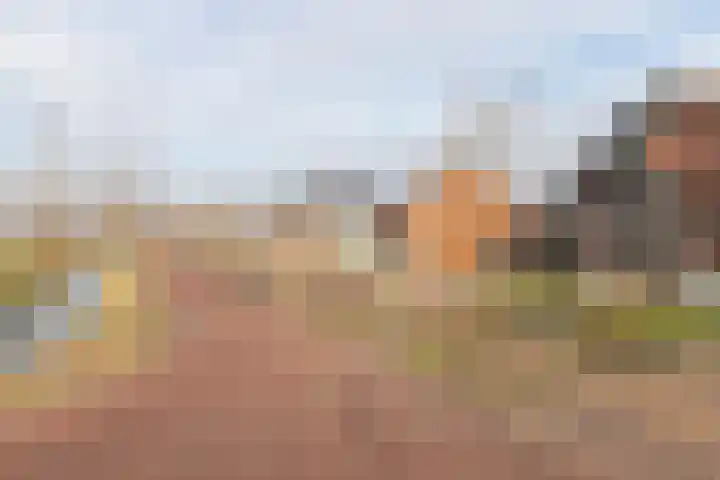 De Nieuwe Gast 5 Zuidhorn thumbnail 43