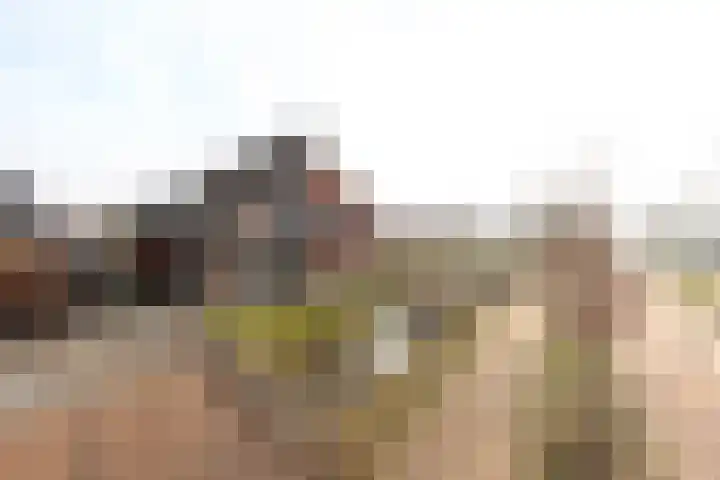 De Nieuwe Gast 5 Zuidhorn thumbnail 44