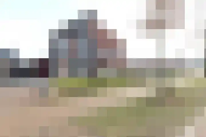 De Nieuwe Gast 5 Zuidhorn thumbnail 5