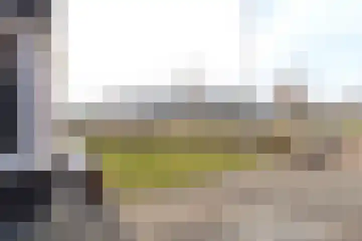 De Nieuwe Gast 5 Zuidhorn thumbnail 7