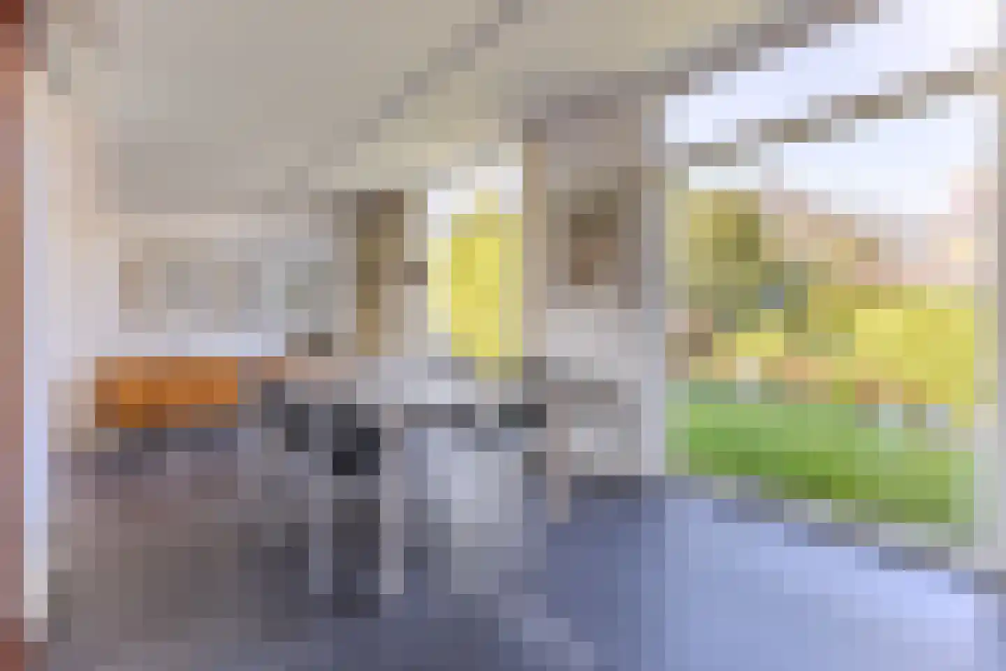 De Nieuwe Plantagie 10 Heiloo thumbnail 12