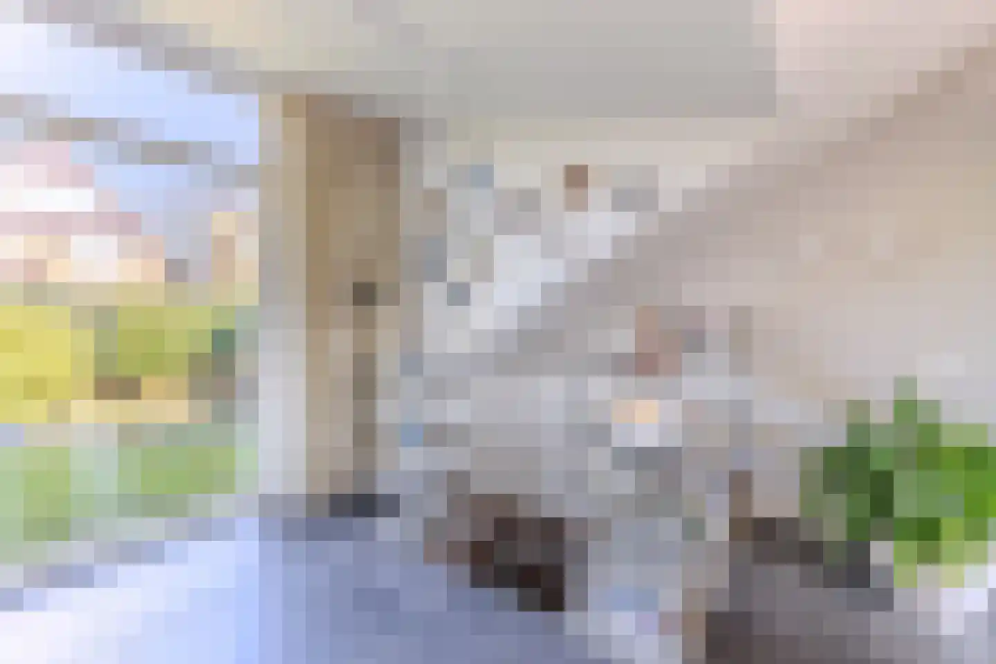 De Nieuwe Plantagie 10 Heiloo thumbnail 16