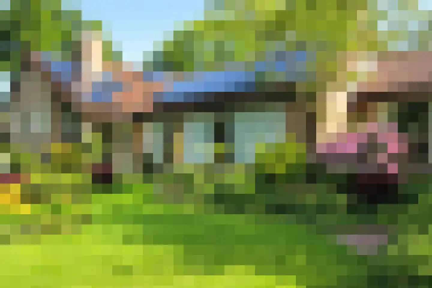 De Nieuwe Plantagie 10 Heiloo thumbnail 42