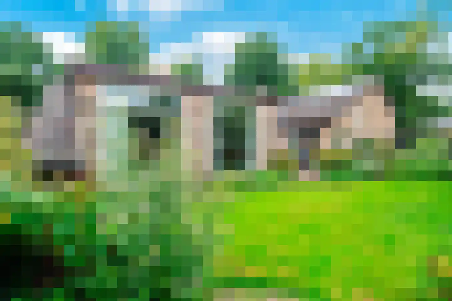 De Nieuwe Plantagie 10 Heiloo thumbnail 44