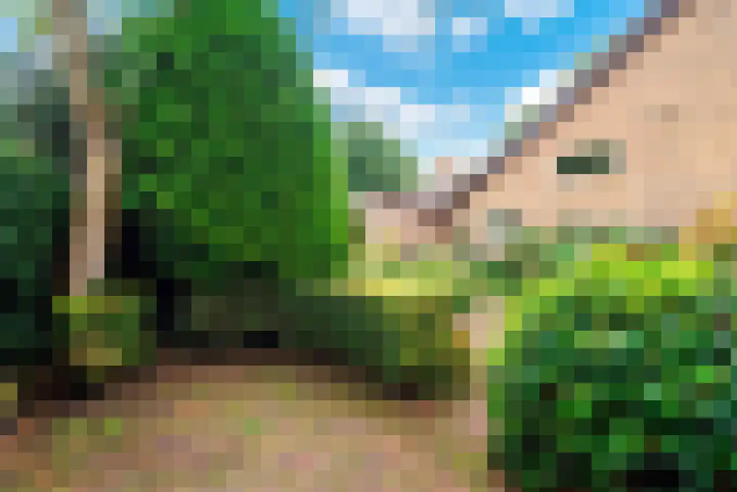 De Nieuwe Plantagie 10 Heiloo thumbnail 45