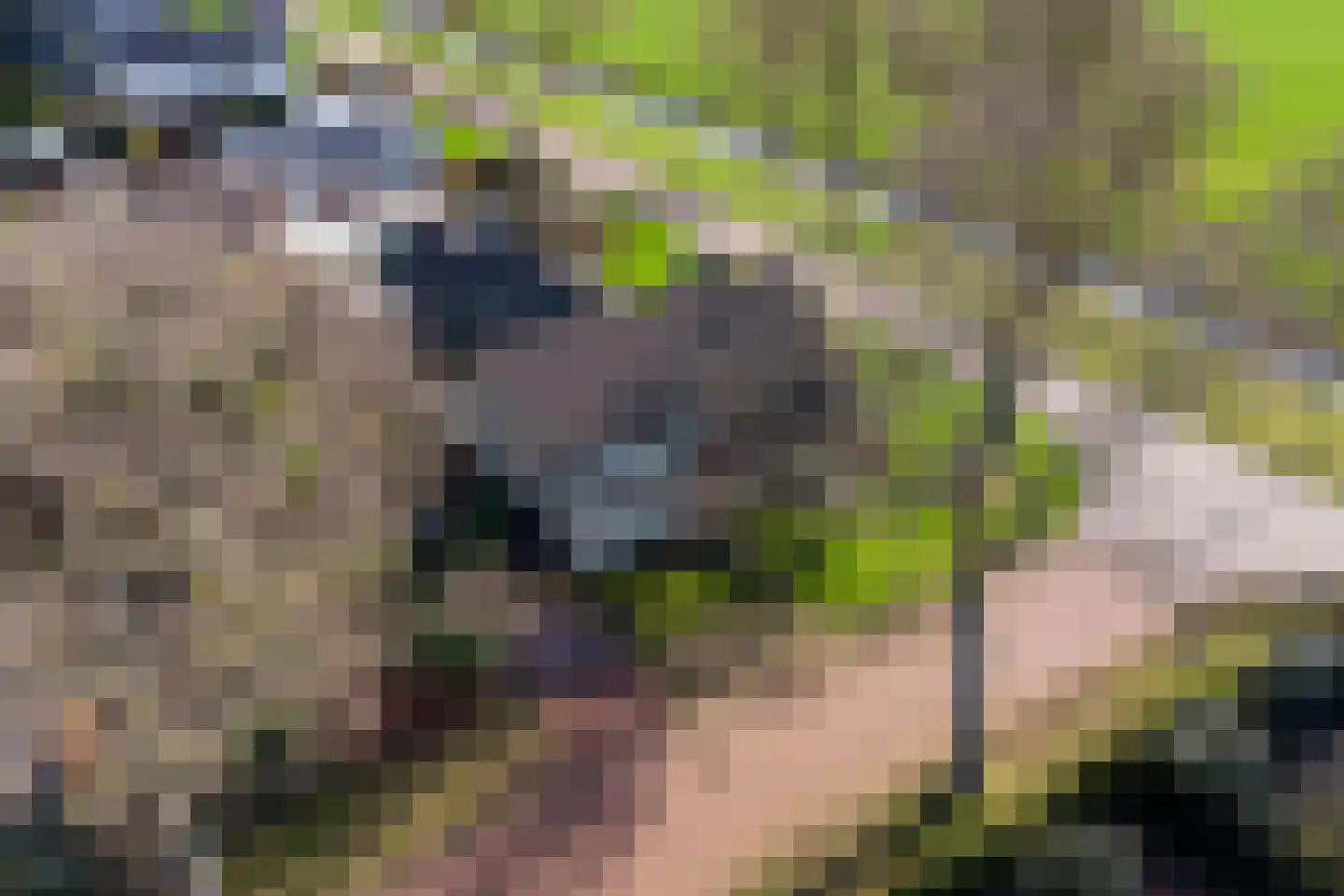 De Nieuwe Plantagie 10 Heiloo thumbnail 49