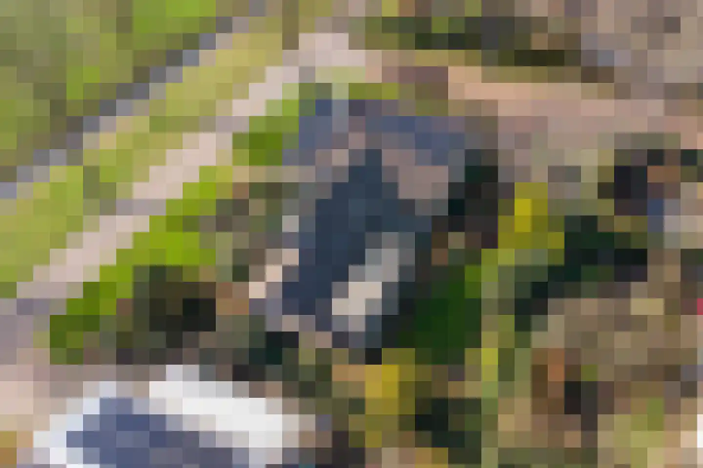De Nieuwe Plantagie 10 Heiloo thumbnail 52