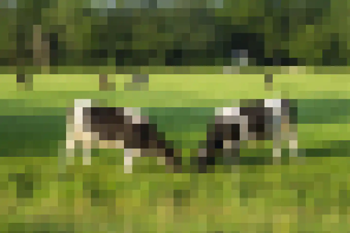 De Nieuwe Plantagie 10 Heiloo thumbnail 54