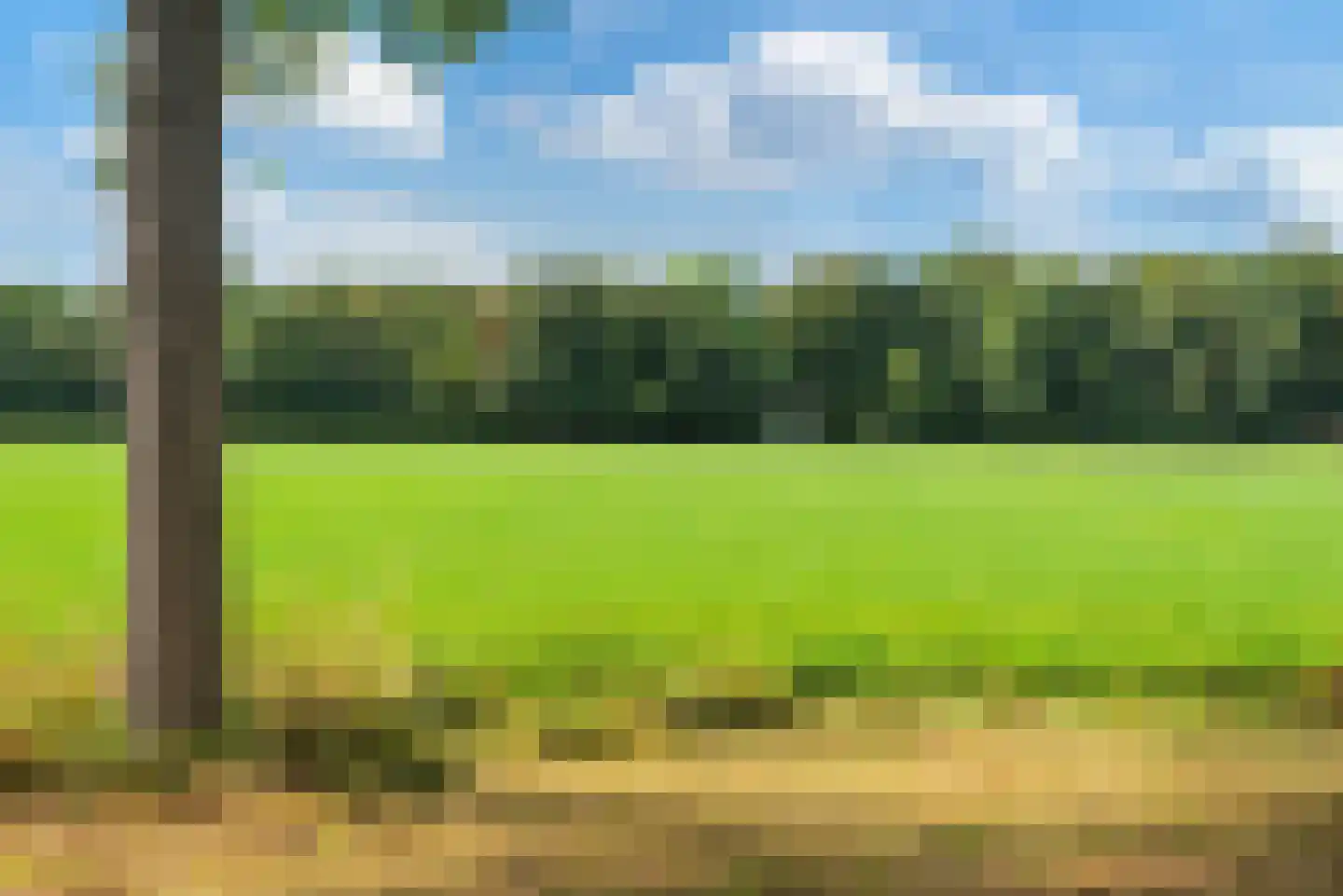 De Nieuwe Plantagie 10 Heiloo thumbnail 55