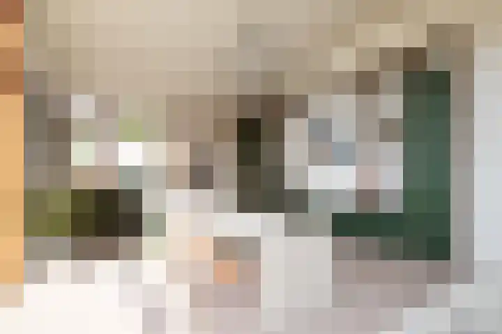 De Nieuwe Plantagie 6 Heiloo thumbnail 11