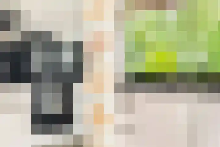 De Nieuwe Plantagie 6 Heiloo thumbnail 12