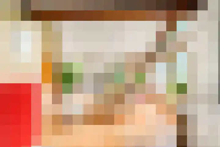 De Nieuwe Plantagie 6 Heiloo thumbnail 13
