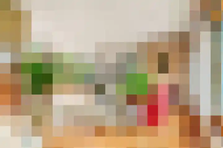 De Nieuwe Plantagie 6 Heiloo thumbnail 14